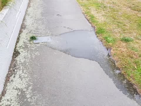 Water Leak, a report photo