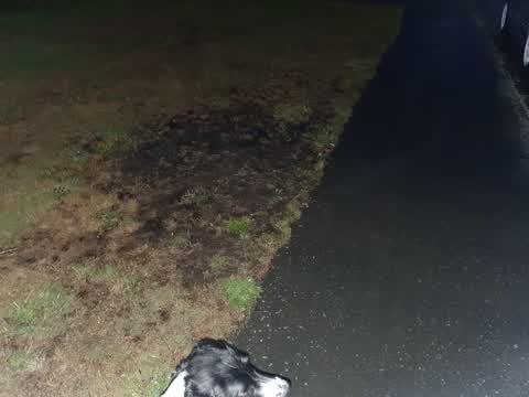 Water Leak, a report photo