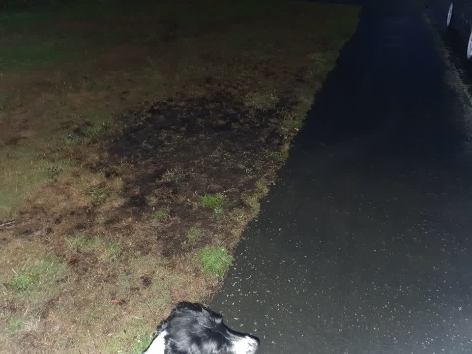The photograph attached to this water leak report