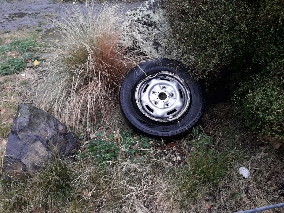 The photograph attached to this parks report