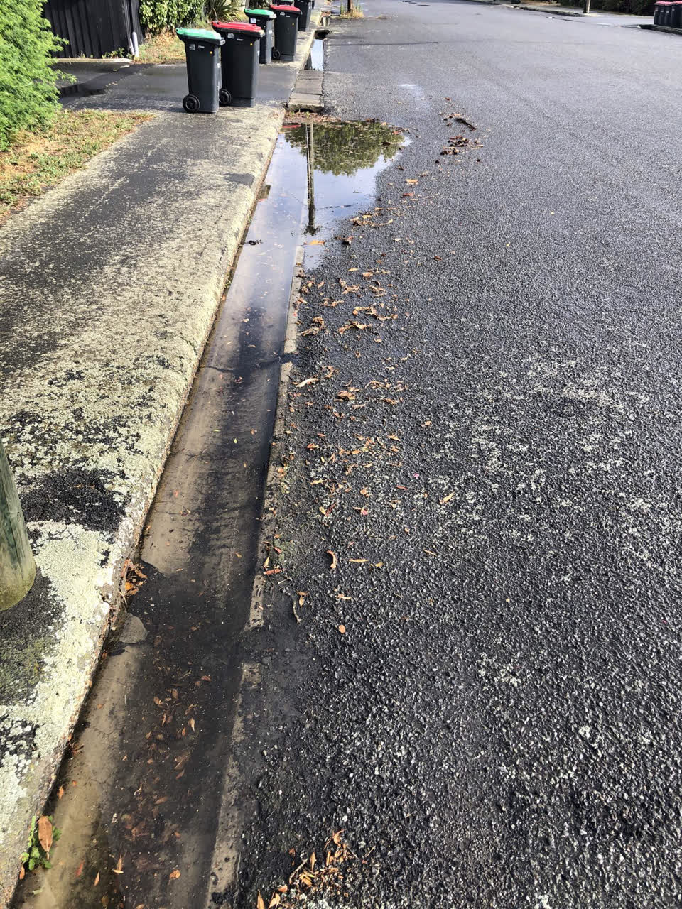 The photograph attached to this street light outage report