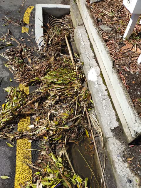 Wastewater/Stormwater, a report photo