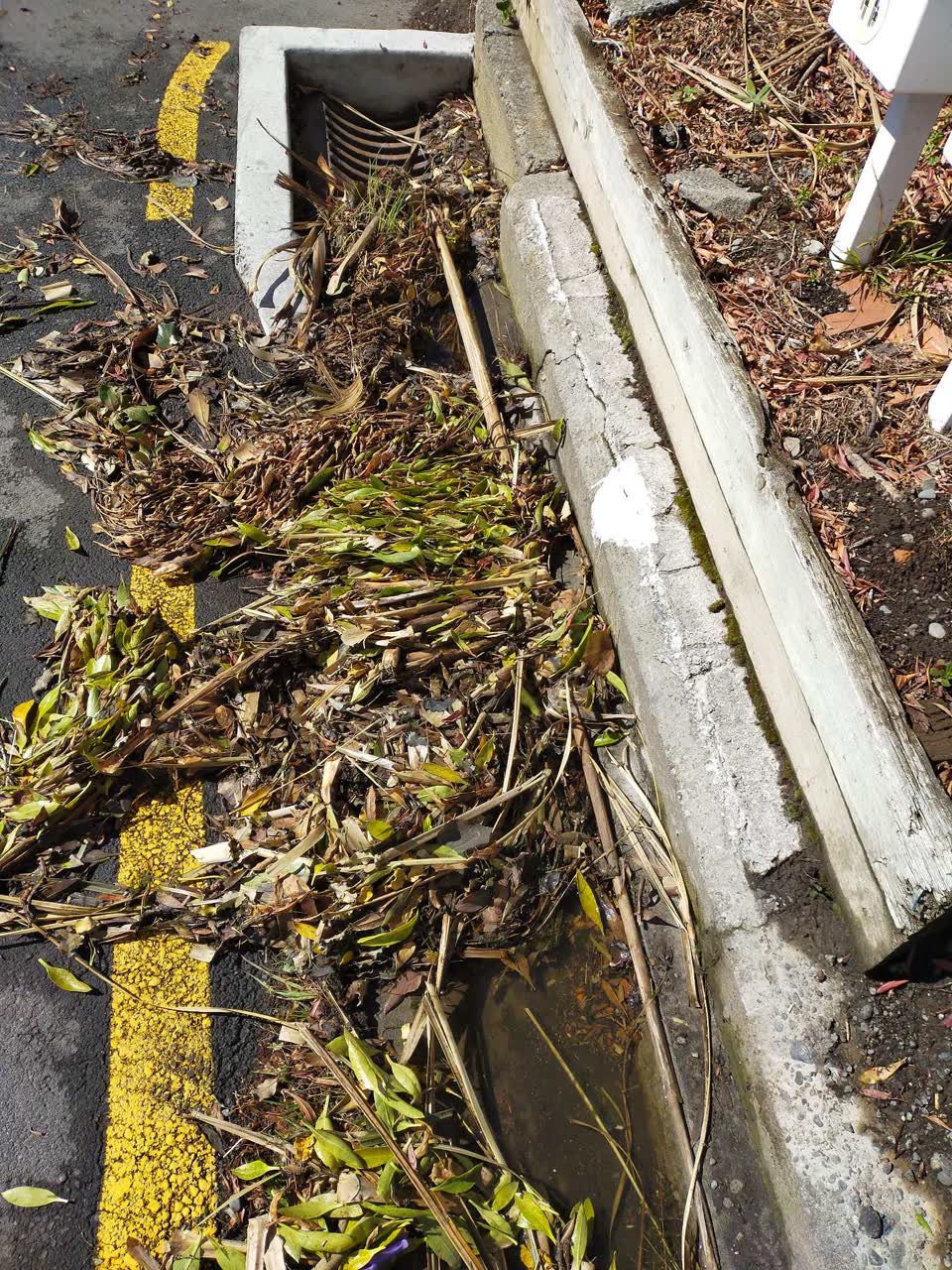The photograph attached to this wastewater/stormwater report