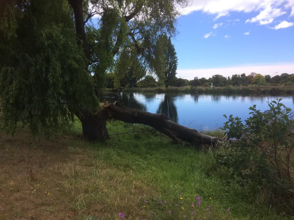 The photograph attached to this parks report