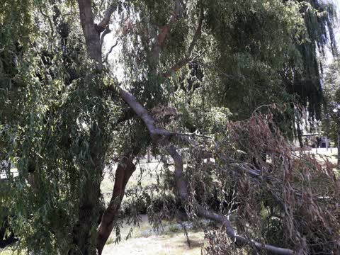 Parks, a report photo