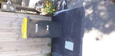 Rubbish/Recycling, a report photo