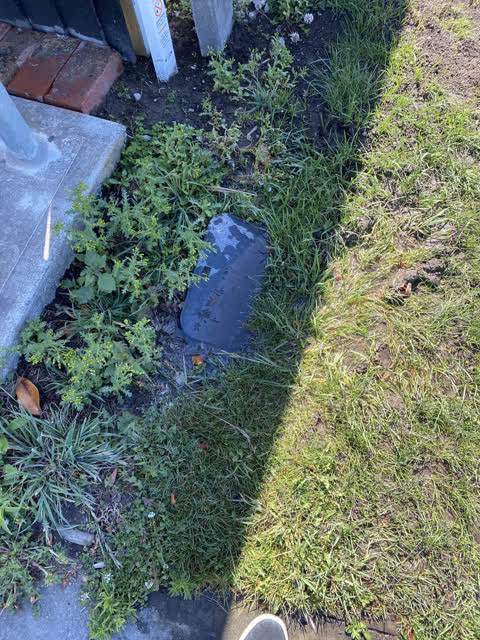 Water Supply, a report photo