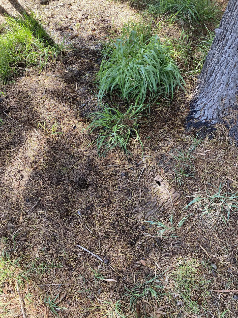 The photograph attached to this water leak report