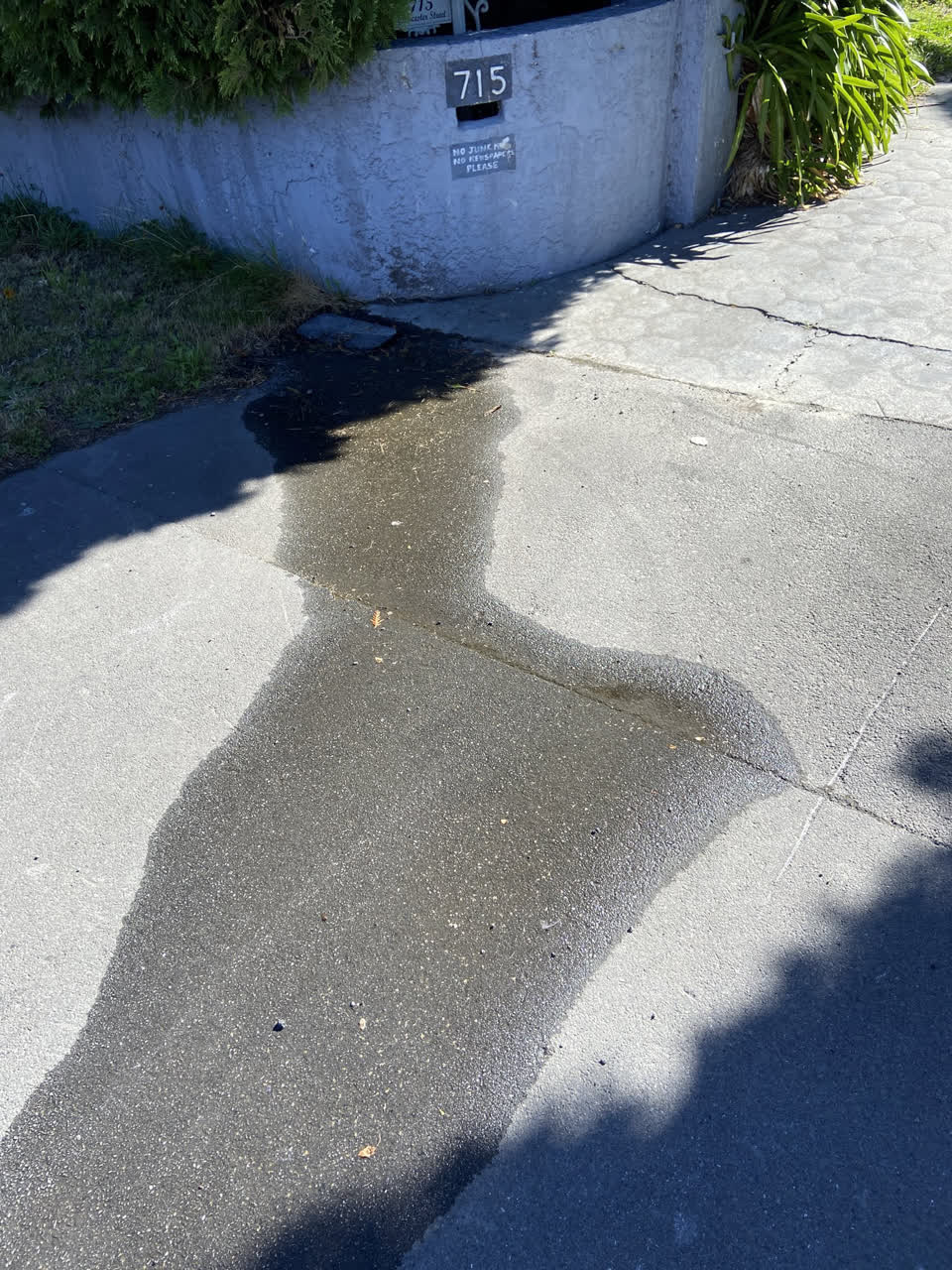 The photograph attached to this water leak report