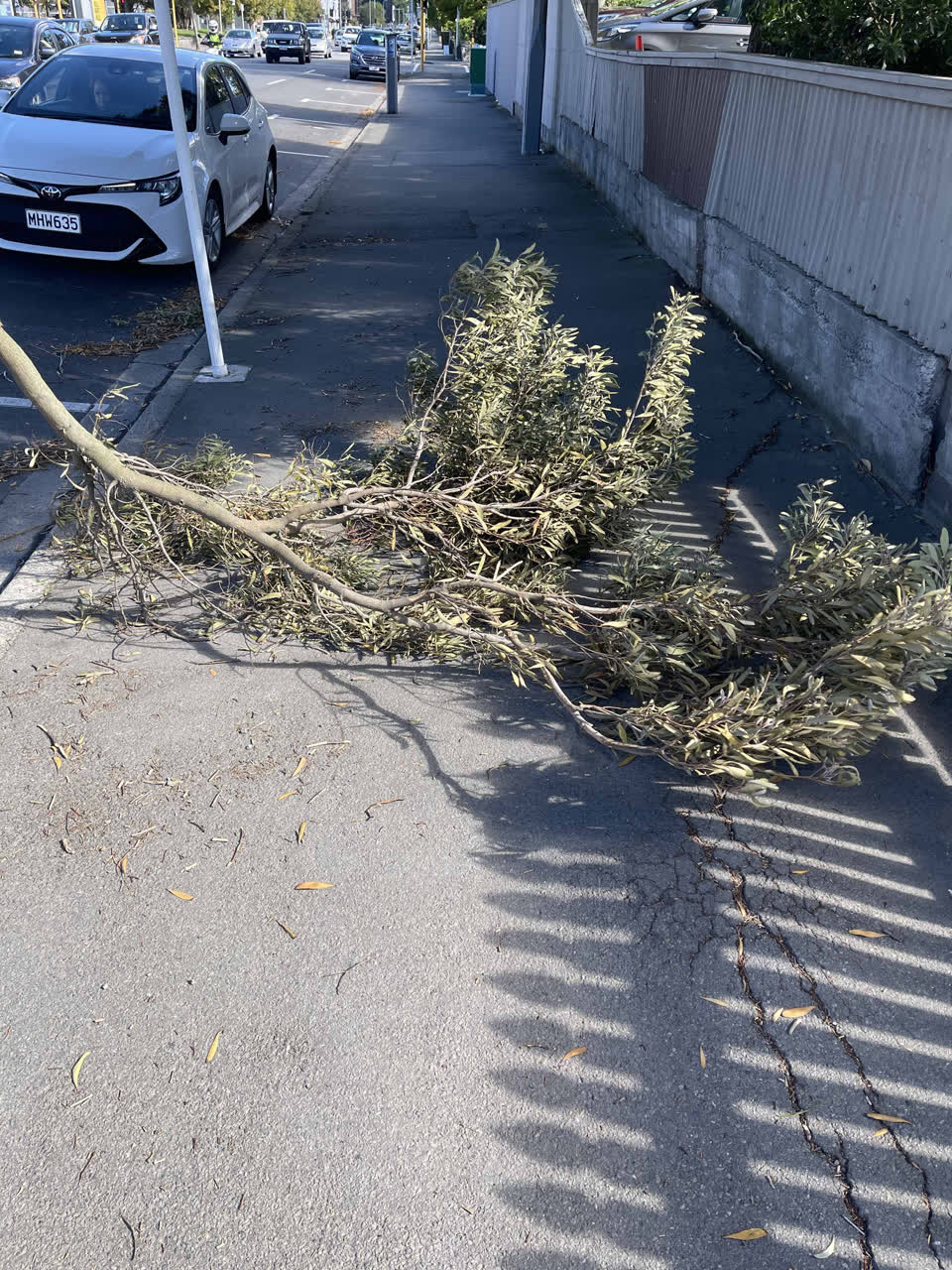 The photograph attached to this roading/streets report