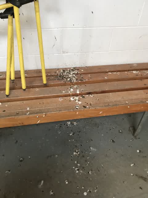 Parks — a report photo
