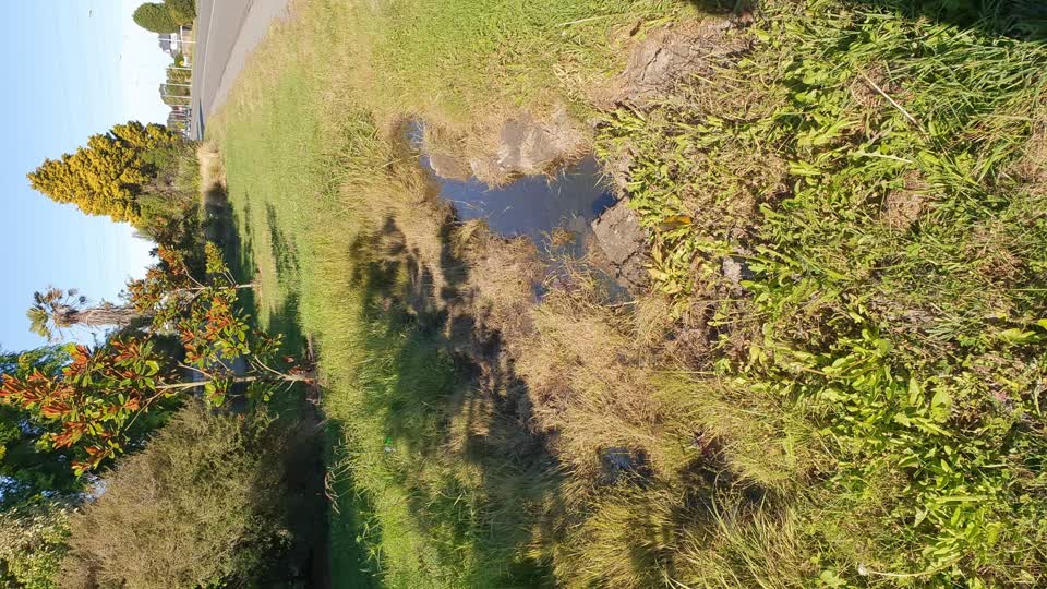 The photograph attached to this wastewater/stormwater report