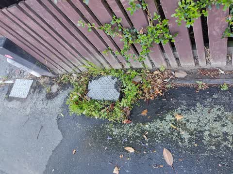 Water Leak, a report photo