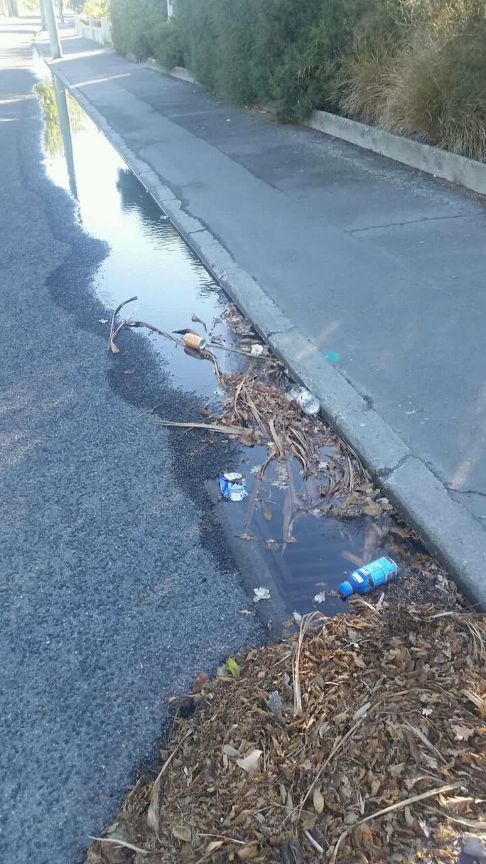 The photograph attached to this wastewater/stormwater report