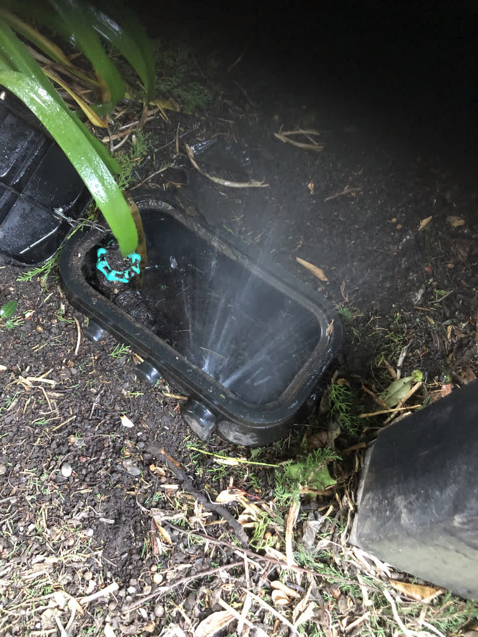 The photograph attached to this water supply report