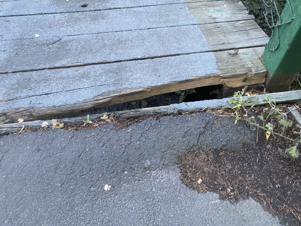 The photograph attached to this parks report