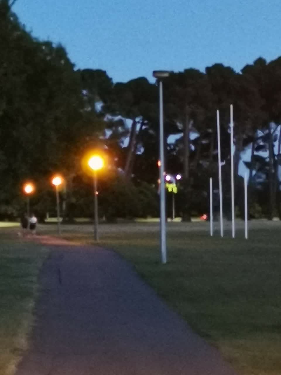 The photograph attached to this parks report