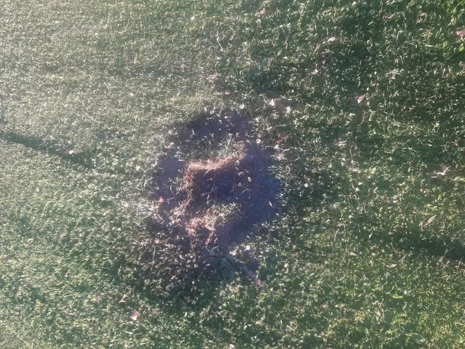 The photograph attached to this parks report