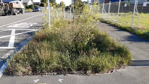Parks, a report photo