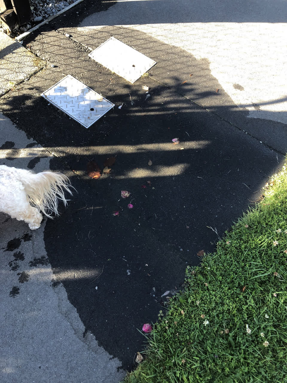 The photograph attached to this water leak report