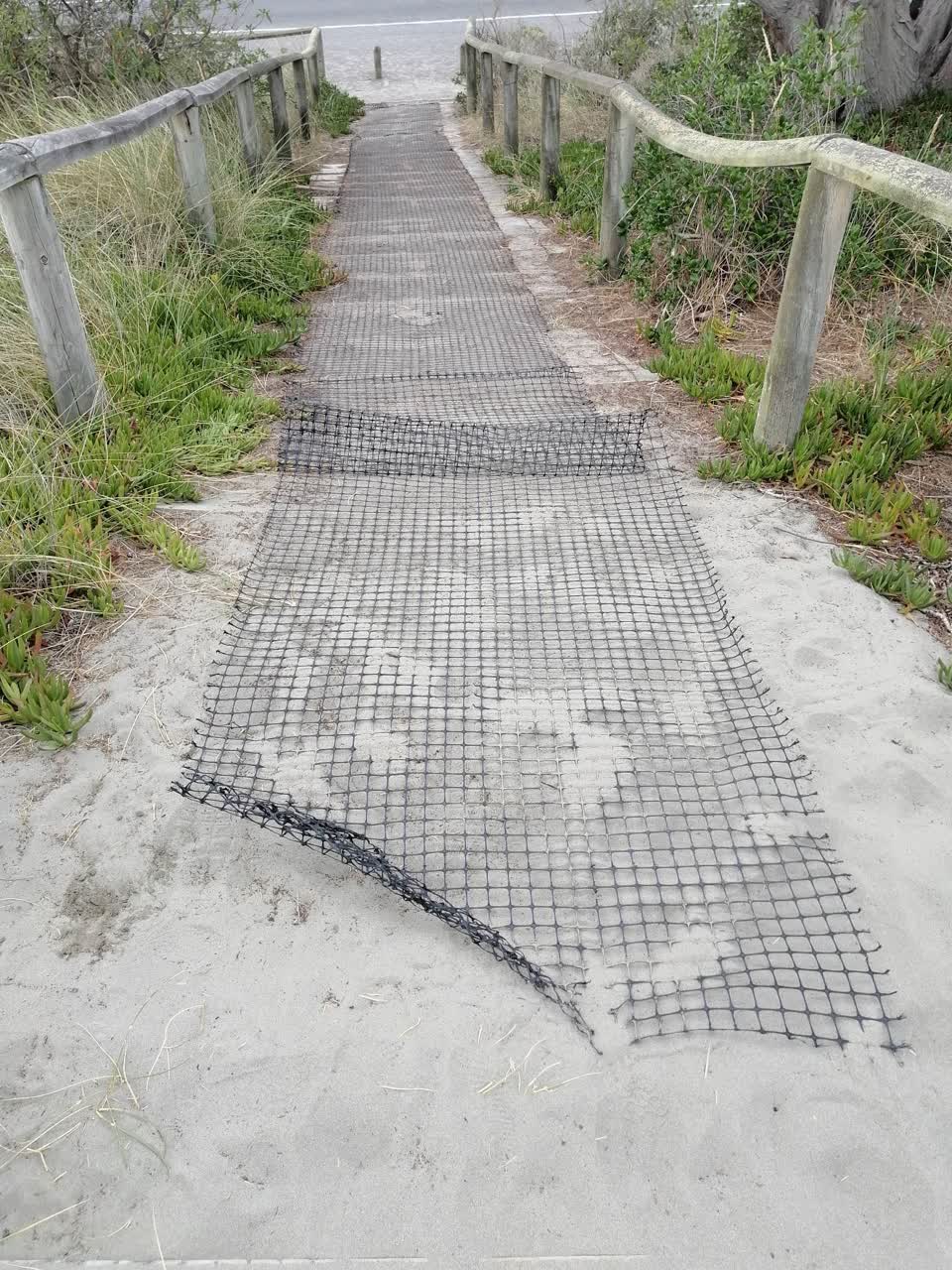 The photograph attached to this parks report