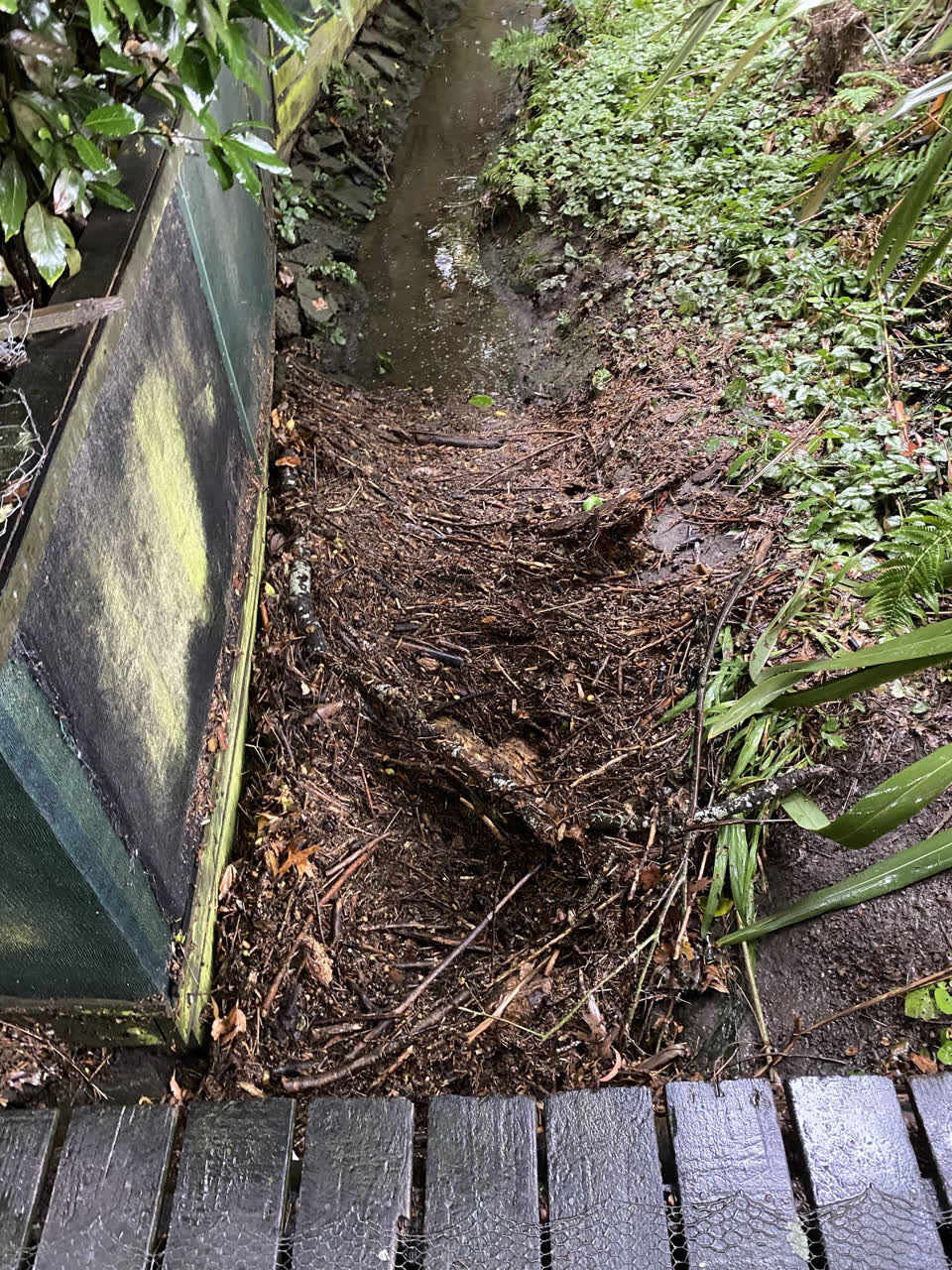 The photograph attached to this parks report