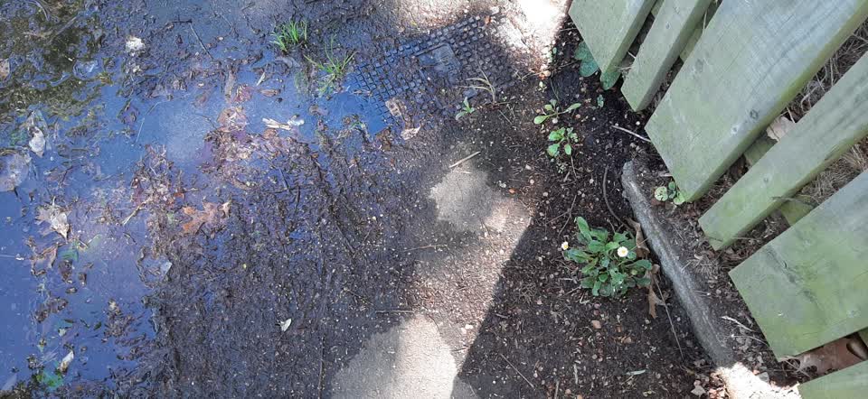 The photograph attached to this water leak report