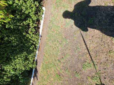 Parks, a report photo