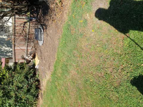 Parks, a report photo