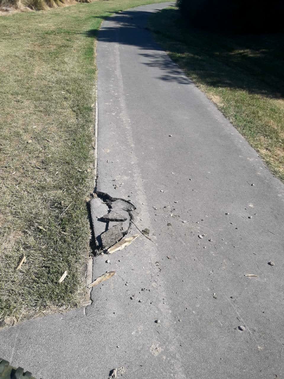 The photograph attached to this parks report