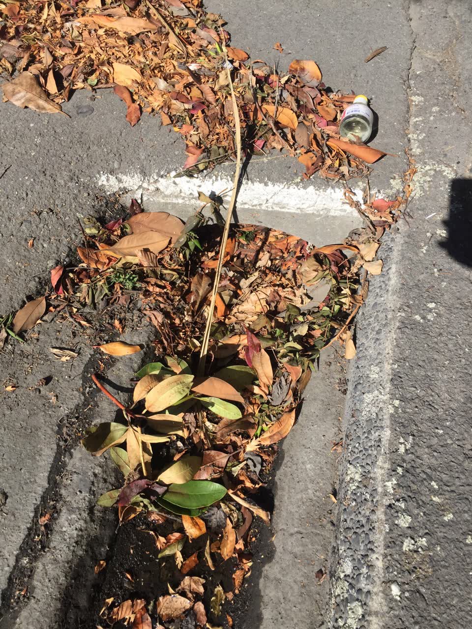 The photograph attached to this wastewater/stormwater report