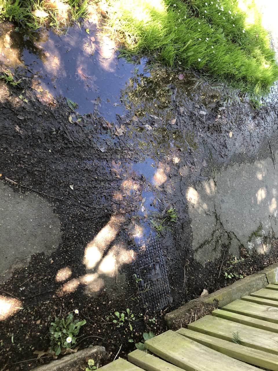 The photograph attached to this water leak report