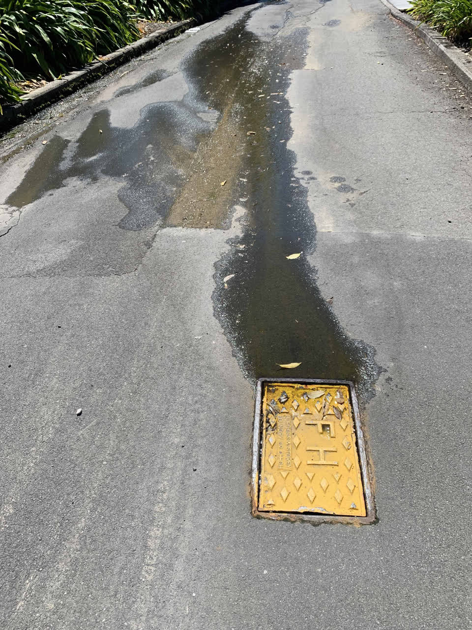 The photograph attached to this water supply report