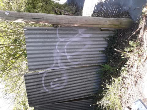 Graffiti, a report photo