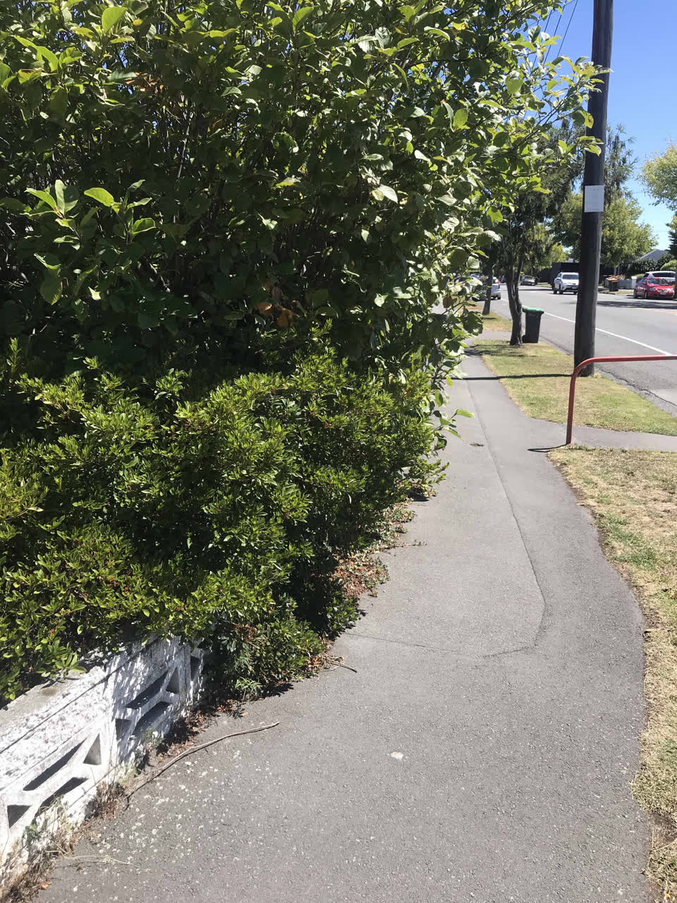The photograph attached to this roading/streets report