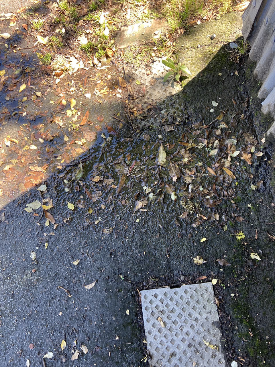 The photograph attached to this water leak report