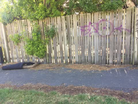 Graffiti, a report photo