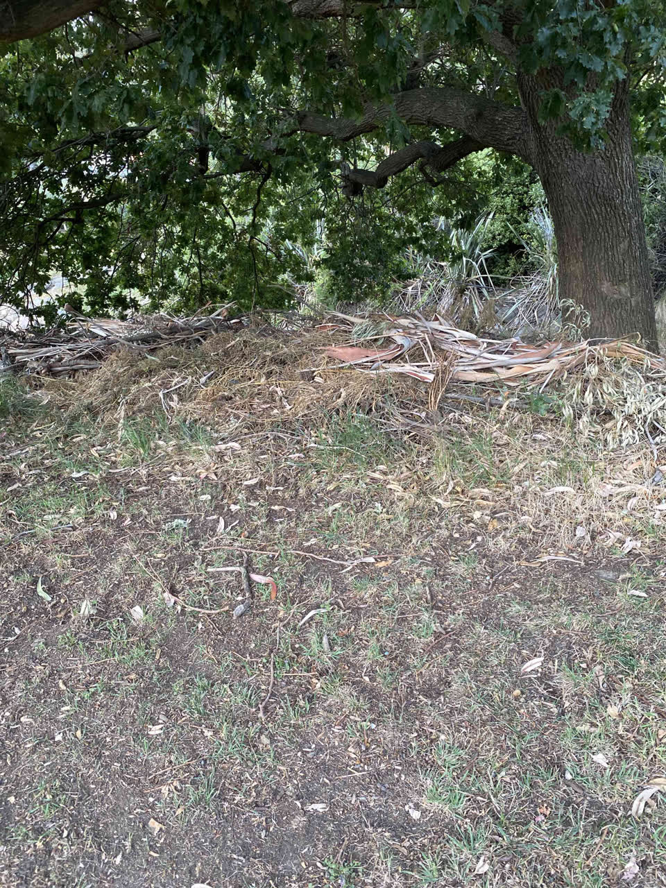 The photograph attached to this parks report