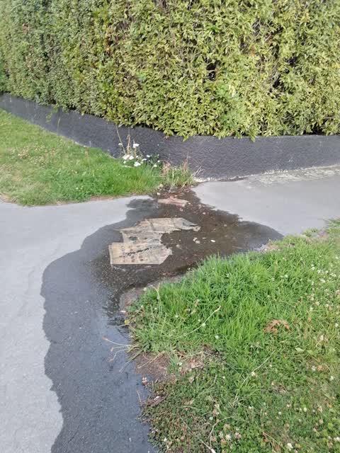 Water Leak — a report photo