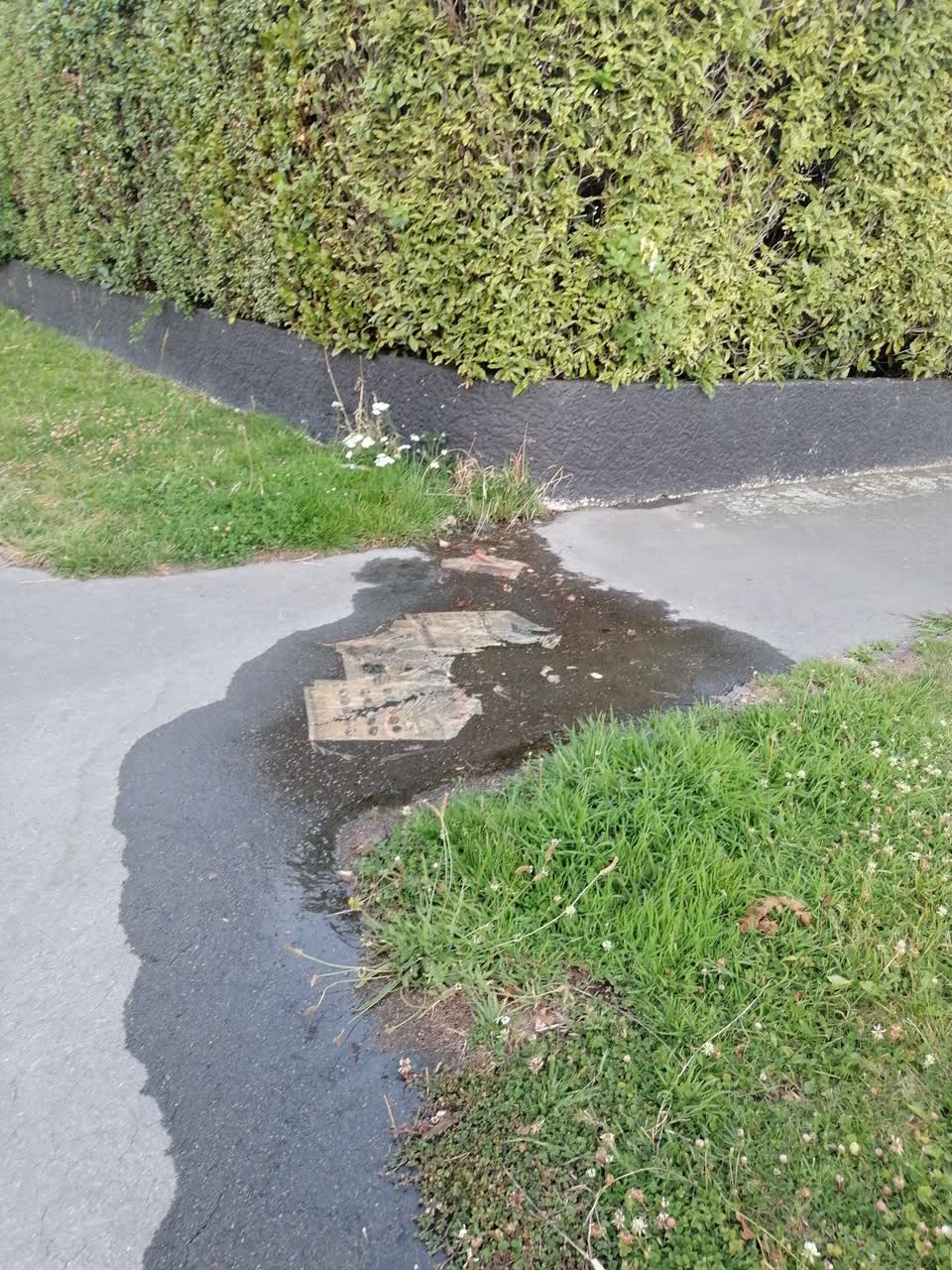 The photograph attached to this water leak report