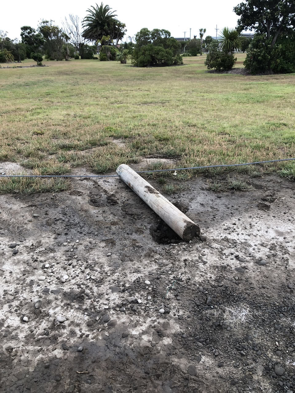 The photograph attached to this parks report