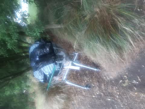 Rubbish/Recycling, a report photo