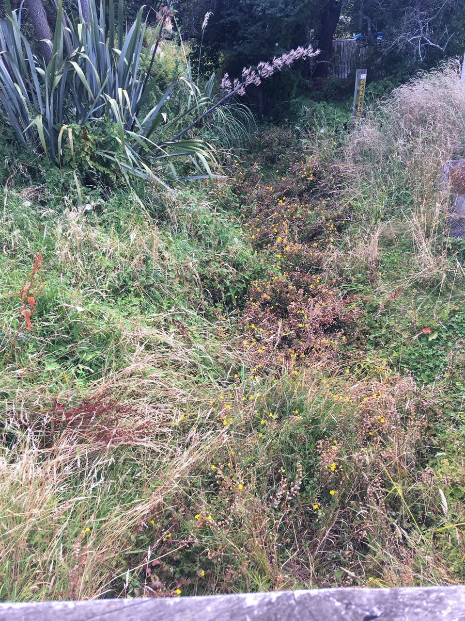 The photograph attached to this wastewater/stormwater report