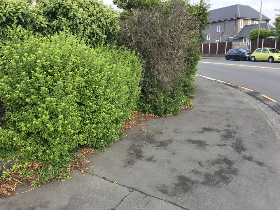 The photograph attached to this roading/streets report