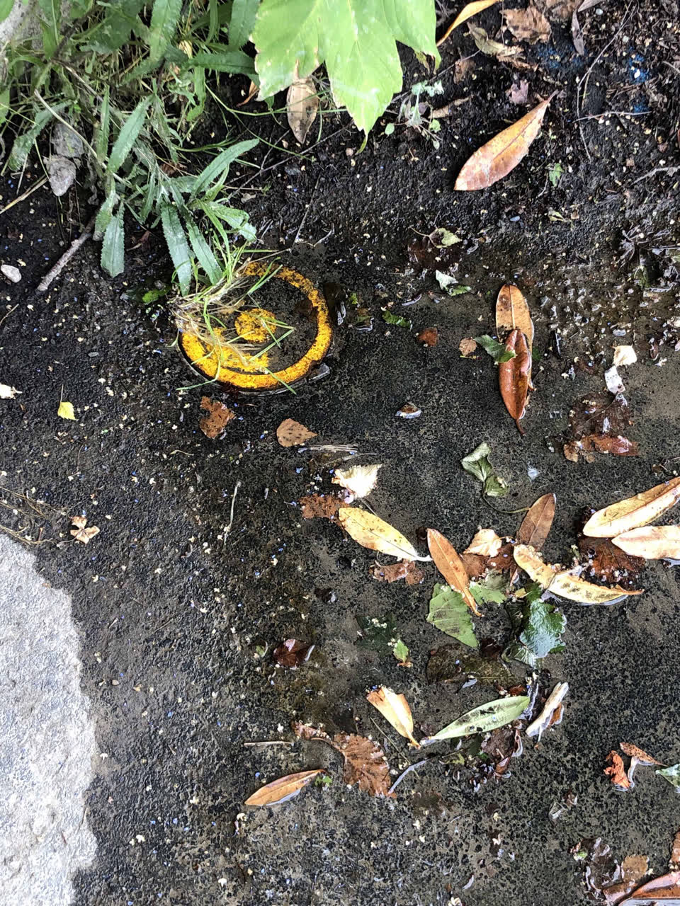The photograph attached to this water leak report
