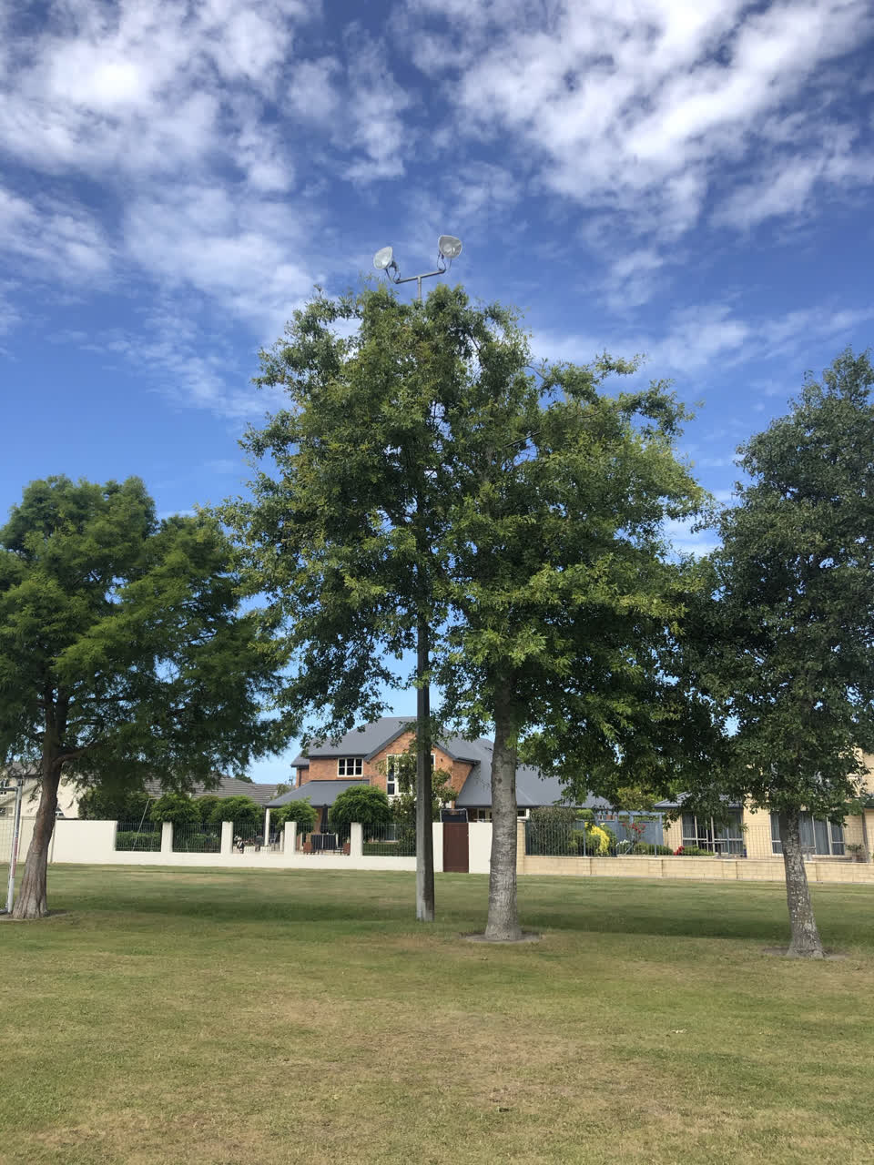 The photograph attached to this parks report