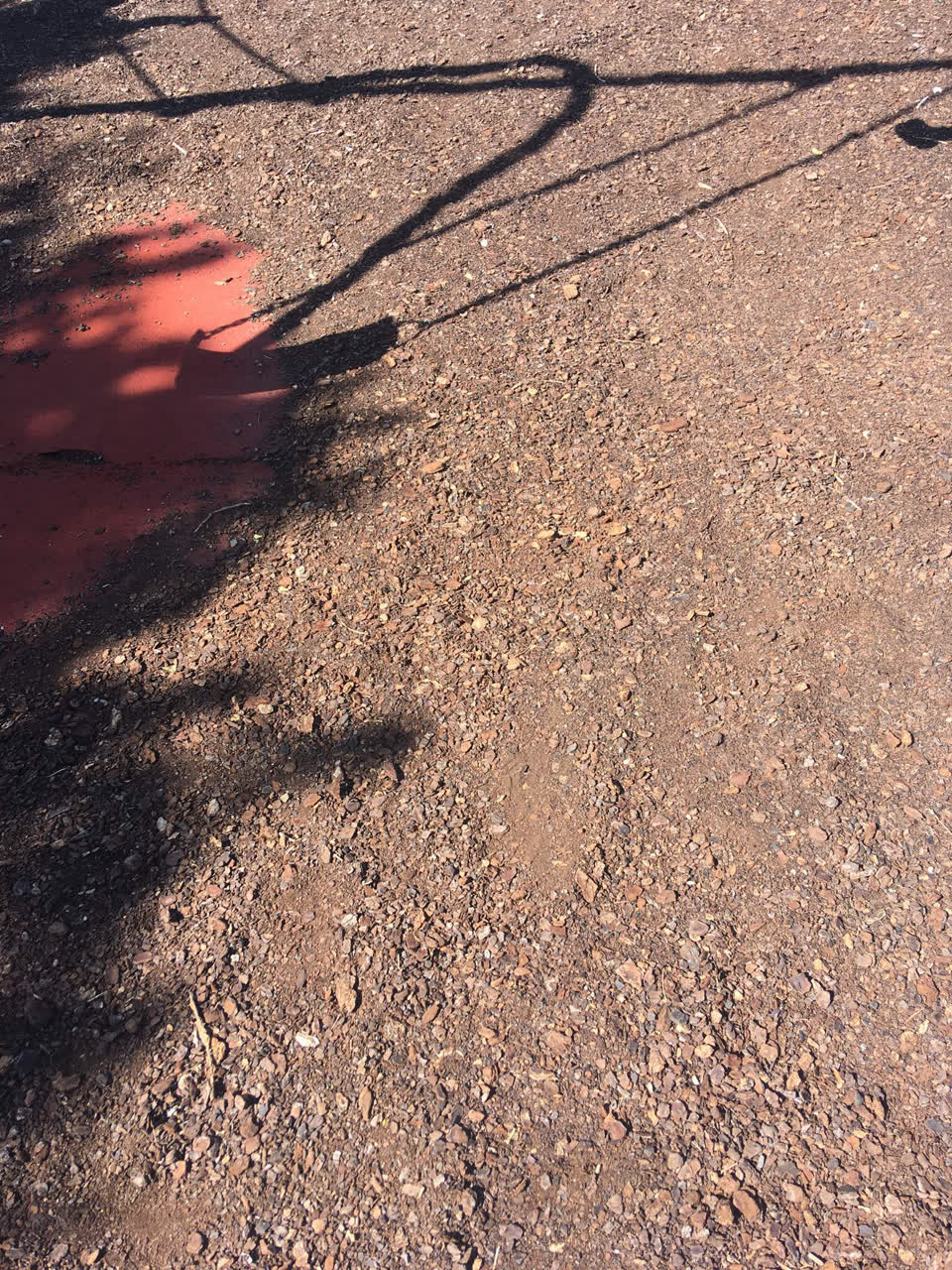 The photograph attached to this parks report