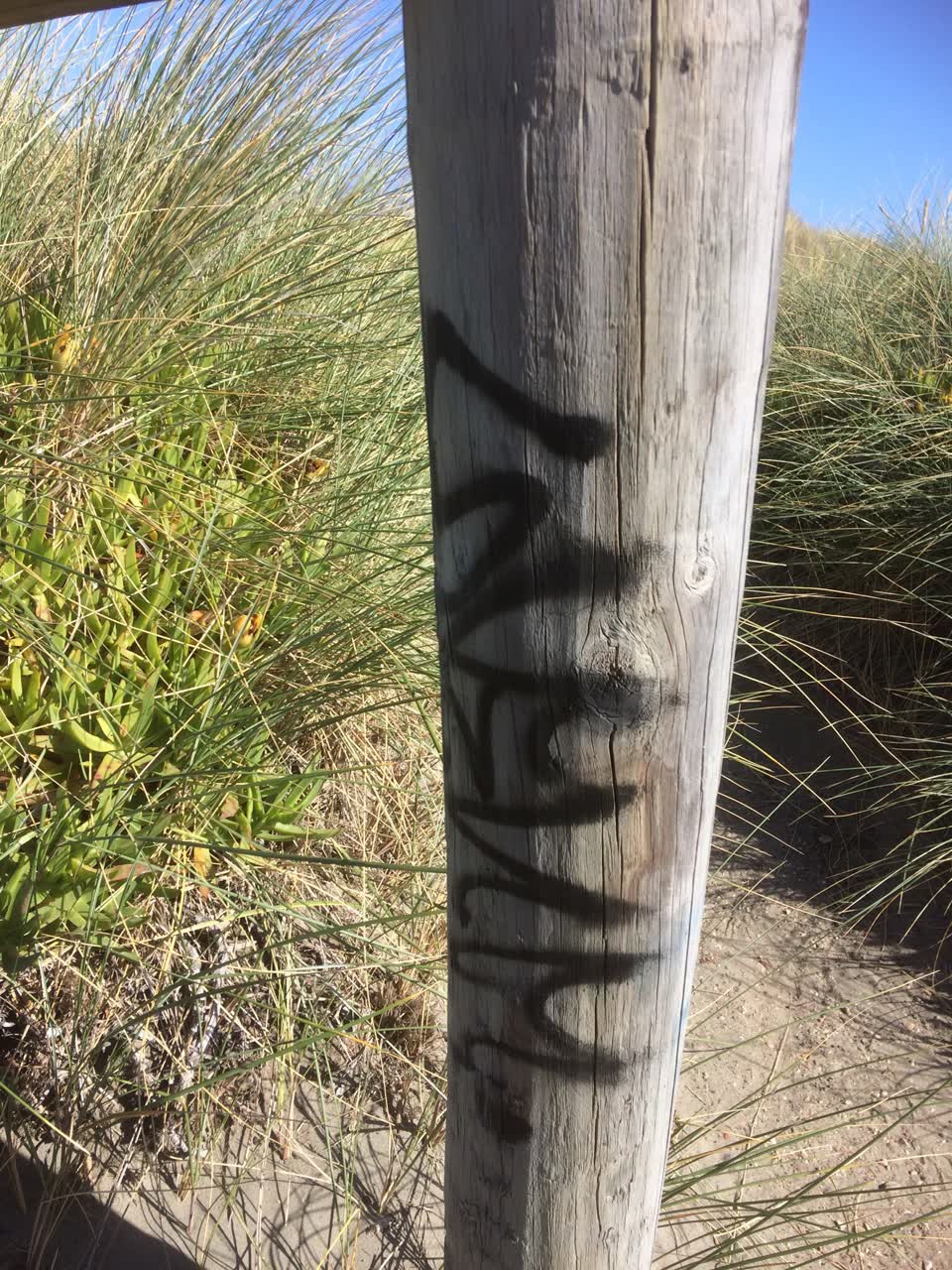 The photograph attached to this graffiti report
