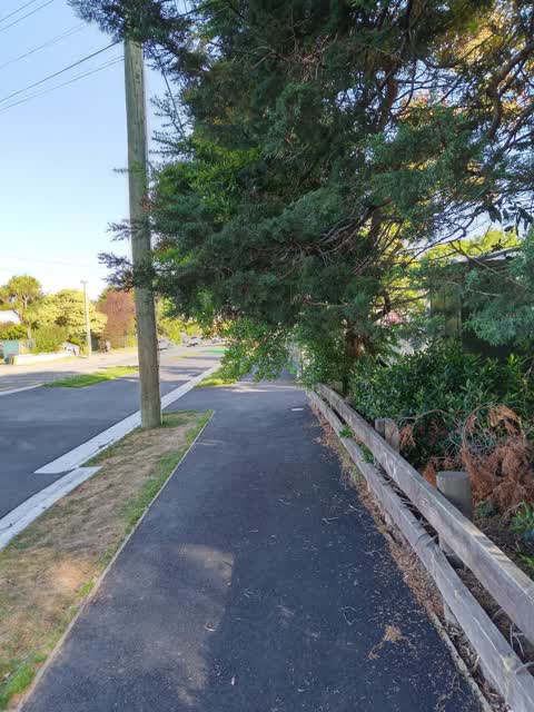 Parks, a report photo