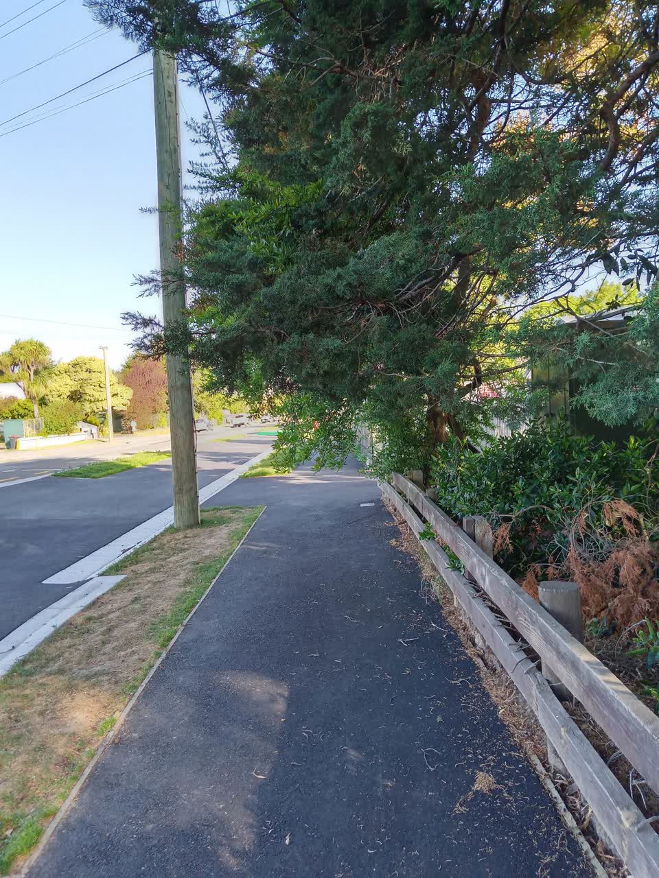 The photograph attached to this parks report